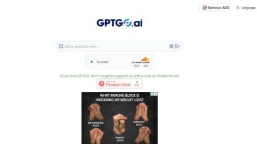 GPTGO.ai